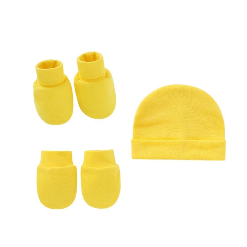  Ƽ  ε巯 尩 +  +  Ŀ Ʈ 尩 縻 Beanies